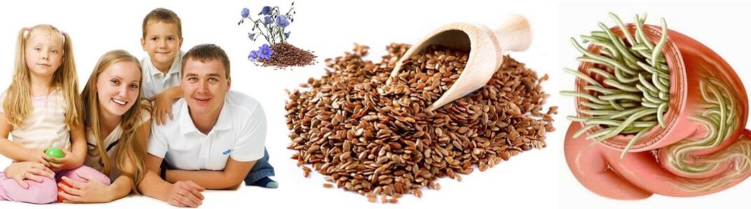 Folk remedies for parasites for family health