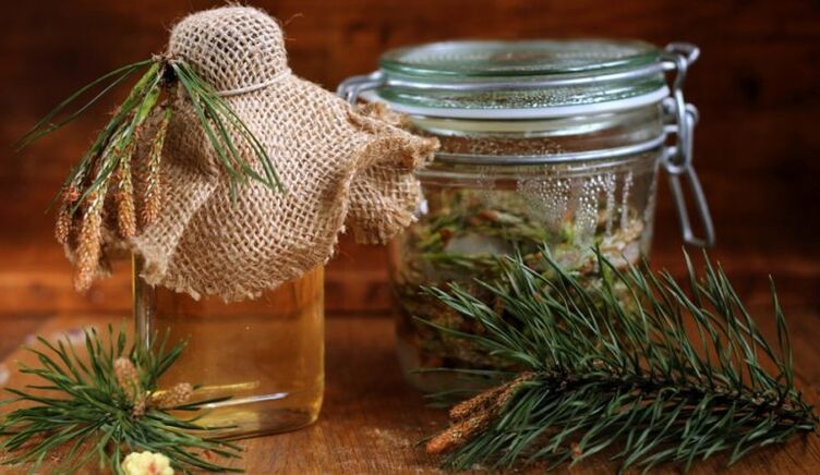 Pine decoction of parasites