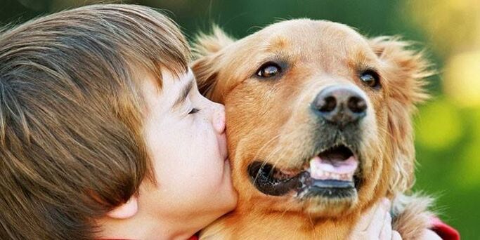 a boy kisses a dog and becomes infected with parasites