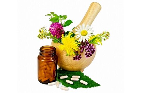 medicines and folk remedies for the treatment of parasites